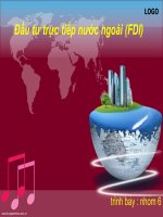 Đầu tư trực tiếp nước ngoài (FDI)