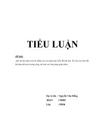 Anh chị hãy phân tích tác động của con người gây biến đổi khí hậu  tác hại của biến đổi khí hậu đến môi trường sống, đề xuất các