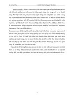 Thực trạng triển khai bancassuarance ở việt nam hiện nay