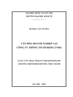 Văn hóa doanh nghiệp tại công ty thông tin di động (VMS) 