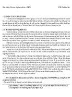 Quá  trình phát triển của chuẩn mực kiểm toán việt nam, sự khác biệt giữa chuẩn mực kiểm toán hiện hành so với bản dự thảo chuẩn bị ban hành