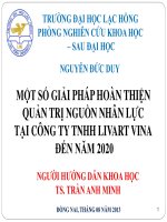 Một số giải pháp hoàn thiện quản trị nguồn nhân lực tại công ty TNHH LIVART VINA đến năm 2020 (ppt)