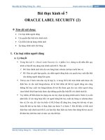Oracle label security(2)