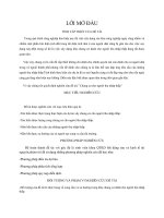 XU HƯỚNG và GIẢI PHÁP đáp ỨNG NHU cầu CHO NGƯỜI THU NHẬP THẤP