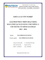 Giải pháp phát triển hoạt động bảo lãnh tại ngân hàng TMCP đông á – chi nhánh tân bình giai đoạn 2012 – 2014 