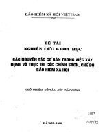 Các nguyên tắc cơ bản trong việc xây dựng và thực thi các chính sách chế độ bảo hiểm xã hội