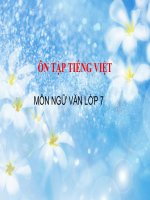 Bài giảng ngữ văn 7 bài 30 ôn tập tiếng việt 2 