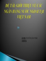 Giới thiệu về các ngân hàng nước ngoài tại việt nam
