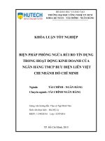 Biện pháp phòng ngừa rủi ro tín dụng trong hoạt động kinh doanh của NH TMCP bưu điện liên việt CN hồ chí minh 