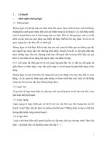 Thực tiễn áp dụng khung logic vào bản kế hoạch của việt nam hiện nay