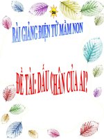 Bài giảng điện tử đề tài Dấu chân của ai?