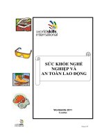 Sức khỏe nghề nghiệp và an toàn lao động