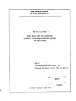 Diễn đàn hợp tác kinh tế châu á – thái bình dương và việt nam