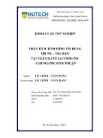 Phân tích tình hình tín dụng trung – dài hạn tại ngân hàng sacombank – chi nhánh ninh thuận 
