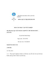 BÁO cáo THỰC tập tốt NGHIỆP địa điểm thực tập NGÂN HÀNG NoPTNT CHI NHÁNH THỦY NGUYÊN 