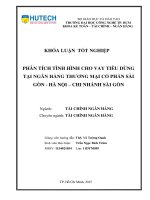 Phân tích tình hình cho vay tiêu dùng tại ngân hàng thương mại cổ phần sài gòn – hà nội – chi nhánh sài gòn 
