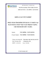 Phân tích tình hình tín dụng cá nhân tại ngân hàng TMCP việt nam thịnh vượng chi nhánh bùi hữu nghĩa 