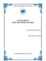 Bài thu hoạch môn thị trường tài chính
