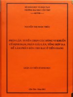 Phân lập, tuyển chọn các dòng vi khuẩn cố định đạm, phân giải lân, tổng hợp IAA để làm phân bón cho rau ở Tiền Giang