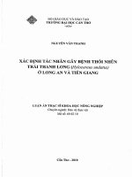 Xác định tác nhân gây bệnh thối nhũn trái thanh long (hylocereus undatus) ở long an và tiền giang 