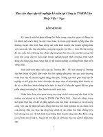 Báo cáo thực tập tốt nghiệp kế toán tại Công ty TNHH Cán Thép Việt – Nga