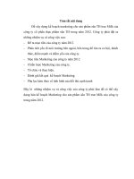 Kế hoạch marketing cho sản phẩm sữa TH true milk