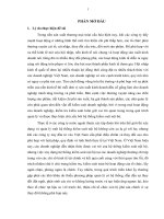 Hoàn thiện hệ thống kiểm soát nội bộ theo hướng quản trị rủi ro tại công ty trách nhiệm hữu hạn Diamond Việt Nam