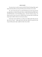 Hoàn thiện hệ thống kiểm soát nội bộ tại Công ty Cổ phần Thẩm định giá Đồng Nai