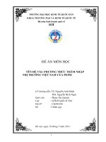 Đồ án môn học phương thức thâm nhập thị trường việt nam của pepsi