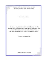 Sàng lọc hoạt tính kháng oxy hóa một số cây thuốc an giang và nghiên cứu thành phần hóa học, hoạt tính kháng oxy hóa của tetrastigma erubescens planch  và nauclea orientalis (l ) l