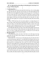 Đánh giá hiệu quả hoạt động của kênh phân phối  liên hệ thực tế với công ty TNHH quỹ đạo mới