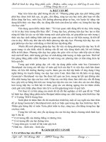 sấng kiến kinh ngiệm cho môn toán ở bậc THCS