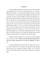 Động cơ thúc đẩy hãng hàng không quốc gia Việt Nam (VietNam Airlines) đầu tư trực tiếp vào Campuchia