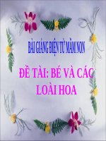 Bài giảng điện tử đề tài Bé và các loài hoa