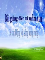 Bài giảng điện tử đề tài Các con vật sống trong rừng