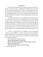 BÁO cáo THỰC tập tại CÔNG TY cổ PHẦN dược PHẨM CHÂU HƯNG