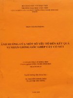 Ảnh hưởng của một số yếu tố đến kết quả vi nhân giống gốc ghép cây có múi 