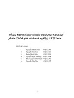 Phương thức và thực trạng phát hành trái phiếu (chính phủ và doanh nghiệp) ở việt nam