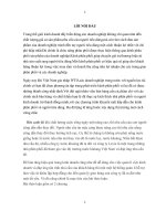 Phân tích hoạt động quản trị hệ thống kênh phân phối của nước khoáng lavie trên thị trường việt nam