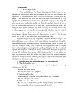 Nghiên cứu các đối thủ cạnh tranh trực tiếp của dầu gội thái dương