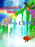Bài giảng điện tử đề tài Bé kể chuyện cá và chim
