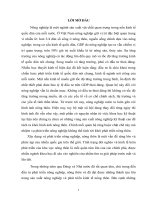 Cơ sở lý luận về đầu tư phát triển nông nghiệp, nông thôn Việt Nam