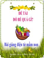 Bài giảng điện tử đề tài Đố bé quả gì?