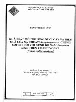 Nghiên cứu lựa chọn gốc ghép và tổ hợp ghép thích hợp với điều kiện mặn cho cây bưởi (citrus grandis osbeck) ở vùng đồng bằng sông cửu long 