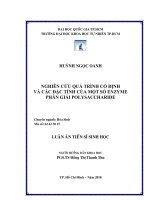 Nghiên cứu quá trình cố định và các đặc tính của một số enzyme phân giải polysaccharide 