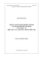 Trầm cảm ở người trưởng thành tại thành phố hồ chí minh, tỷ lệ mắc và hiệu quả của giáo dục trong điều trị 