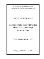 Cấu trúc tiêu điểm thông tin trong câu tiếng việt và tiếng anh 