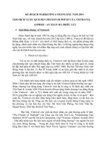 Kế hoạch marketing 6 tháng đầu năm 2014 cho dịch vụ du lịch bụi cho dân đi phượt của vietravel