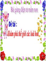 Bài giảng điện tử đề tài Khám phá thế giới các loài hoa