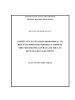 Nghiên cứu tuyển chọn rhodotorula có khả năng sinh tổng hợp beta carotene trên môi trường bán rắn làm thức ăn bổ sung cho gà đẻ trứng 